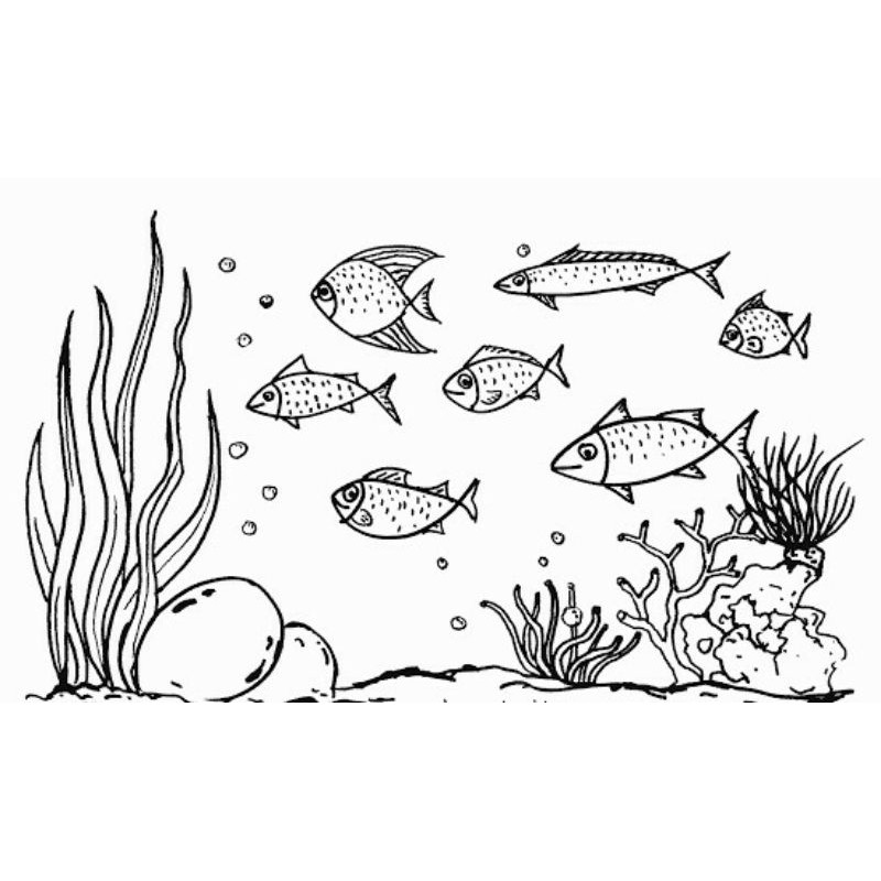 Detail Gambar Mewarnai Ikan Nemo Nomer 26
