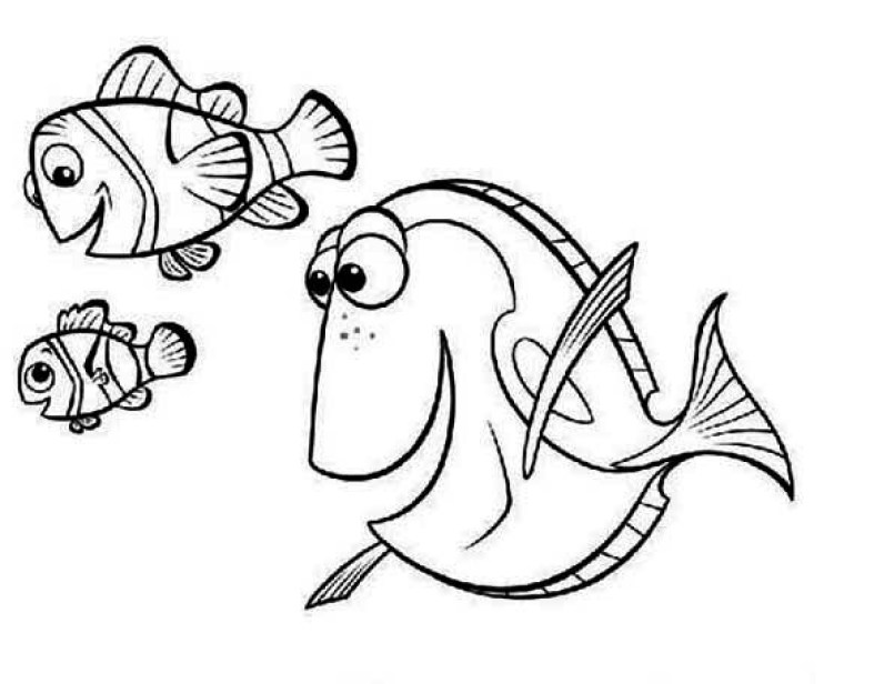 Detail Gambar Mewarnai Ikan Nemo Nomer 43