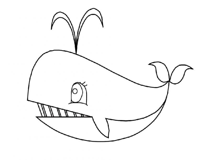 Detail Gambar Mewarnai Ikan Paus Nomer 22