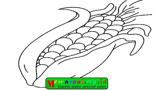 Detail Gambar Mewarnai Jagung Nomer 34