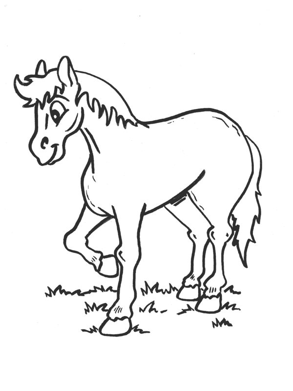 Detail Gambar Mewarnai Kuda Kartun Nomer 2