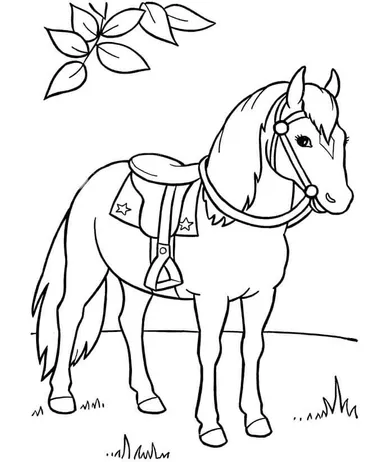 Detail Gambar Mewarnai Kuda Kartun Nomer 14
