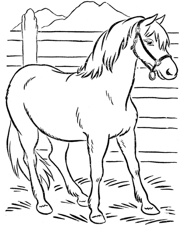 Detail Gambar Mewarnai Kuda Kartun Nomer 28