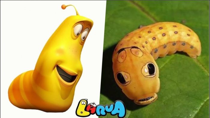 Detail Gambar Mewarnai Larva Nomer 41