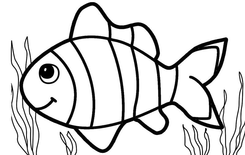 Detail Gambar Mewarnai Nemo Nomer 15