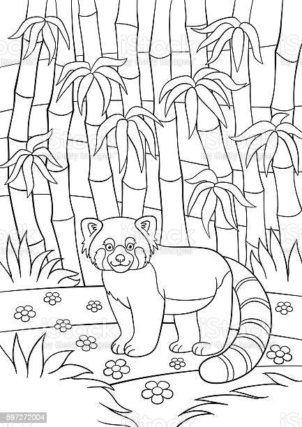 Detail Gambar Mewarnai Panda Nomer 38