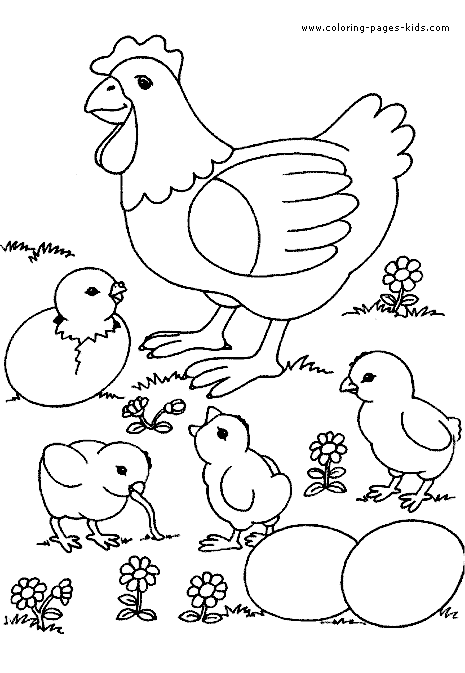 Detail Gambar Mewarnai Pertumbuhan Ayam Nomer 22