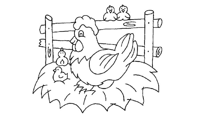 Detail Gambar Mewarnai Pertumbuhan Ayam Nomer 31