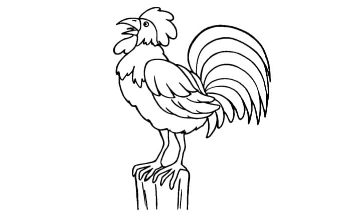 Detail Gambar Mewarnai Pertumbuhan Ayam Nomer 45