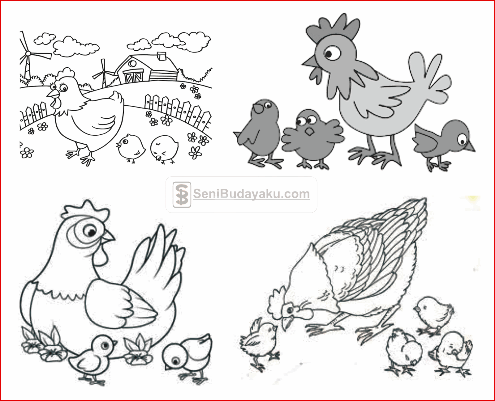 Detail Gambar Mewarnai Pertumbuhan Ayam Nomer 7