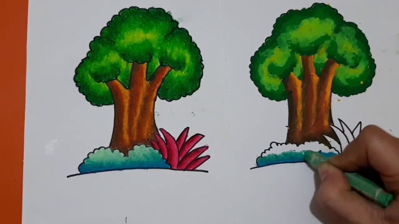 Detail Gambar Mewarnai Pohon Nomer 11
