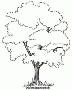 Detail Gambar Mewarnai Pohon Nomer 18