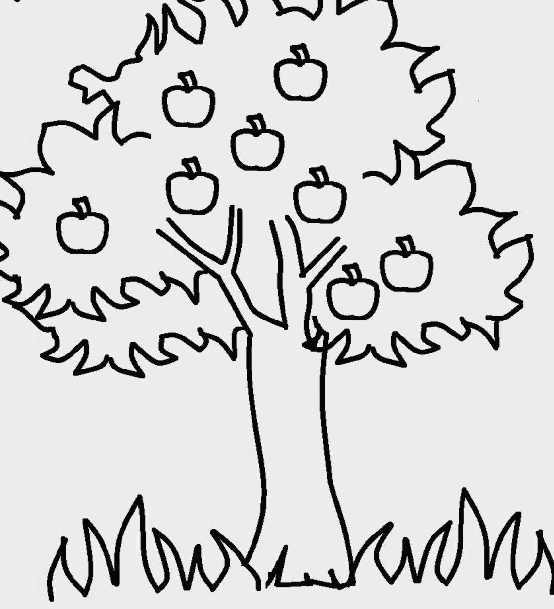 Detail Gambar Mewarnai Pohon Mangga Nomer 24