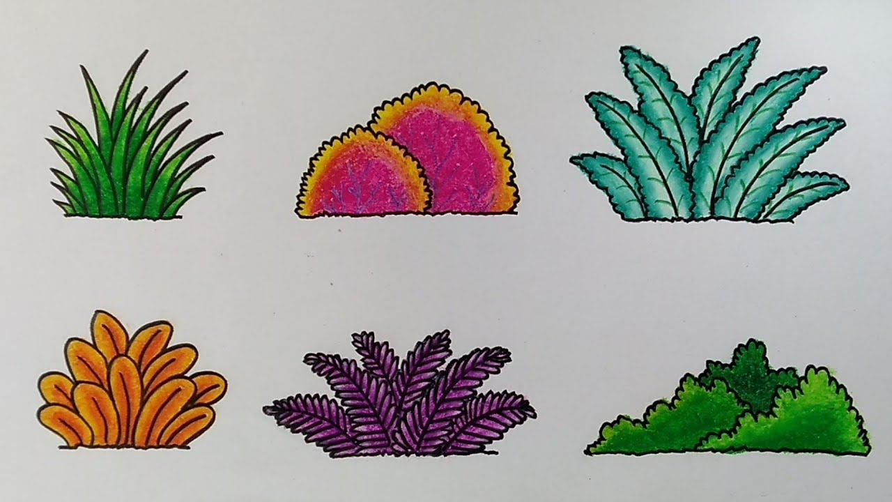 Gambar Mewarnai Rumput - KibrisPDR