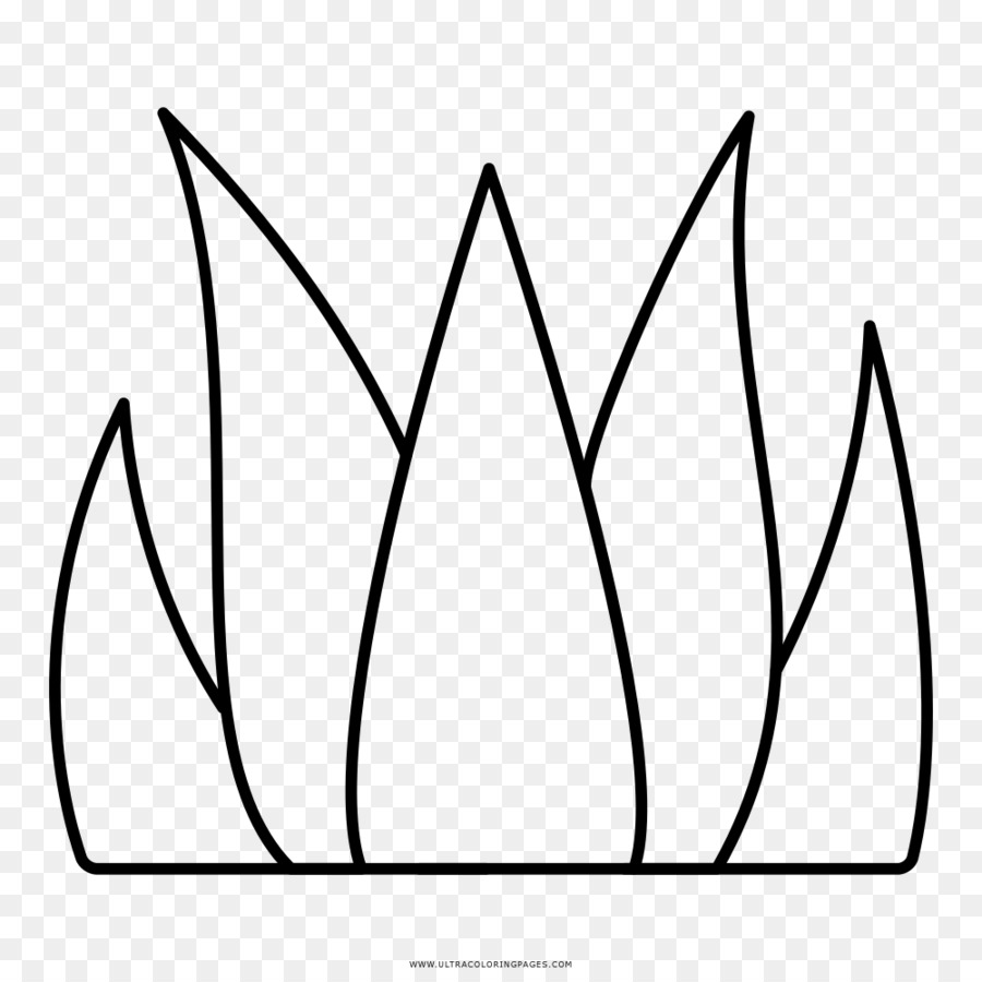 Detail Gambar Mewarnai Rumput Nomer 11