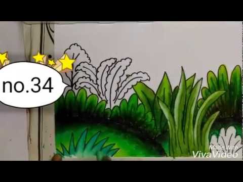 Detail Gambar Mewarnai Rumput Nomer 13