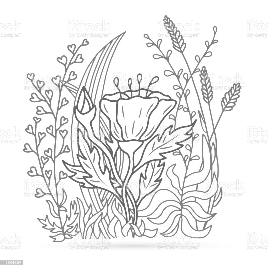 Detail Gambar Mewarnai Rumput Nomer 16