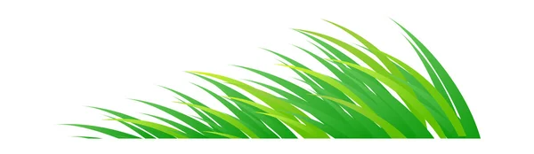 Detail Gambar Mewarnai Rumput Nomer 17