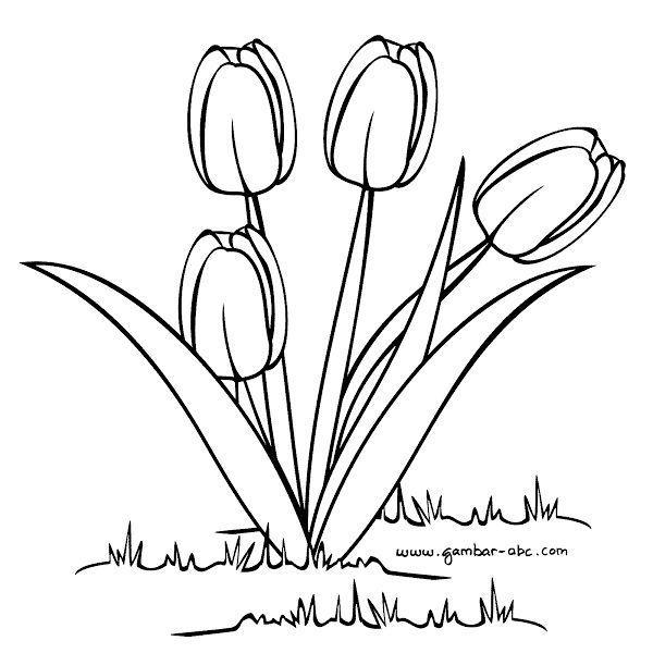 Detail Gambar Mewarnai Rumput Nomer 19