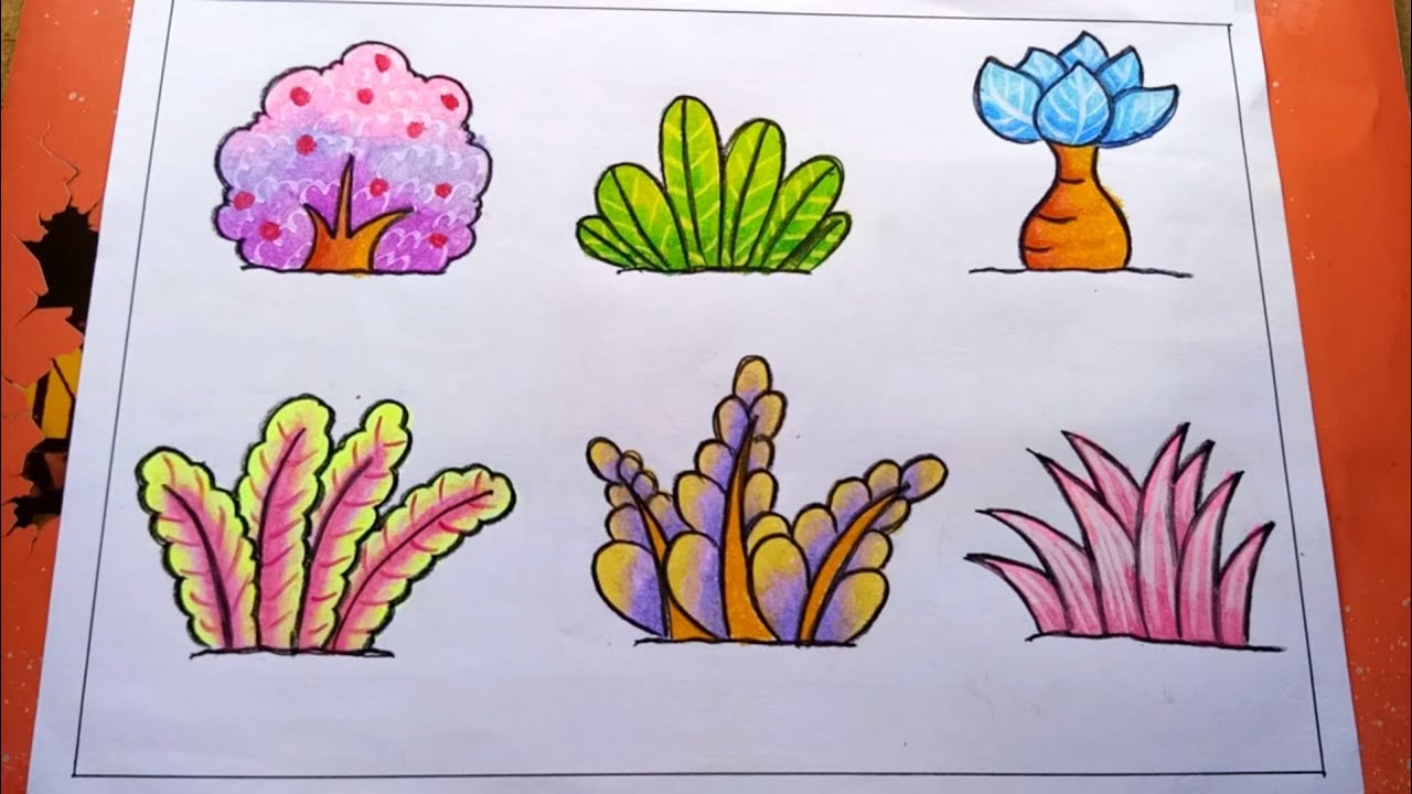 Detail Gambar Mewarnai Rumput Nomer 3