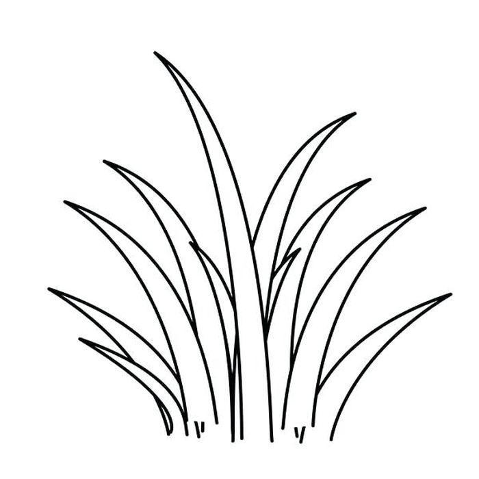 Detail Gambar Mewarnai Rumput Nomer 26