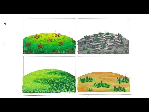 Detail Gambar Mewarnai Rumput Nomer 27