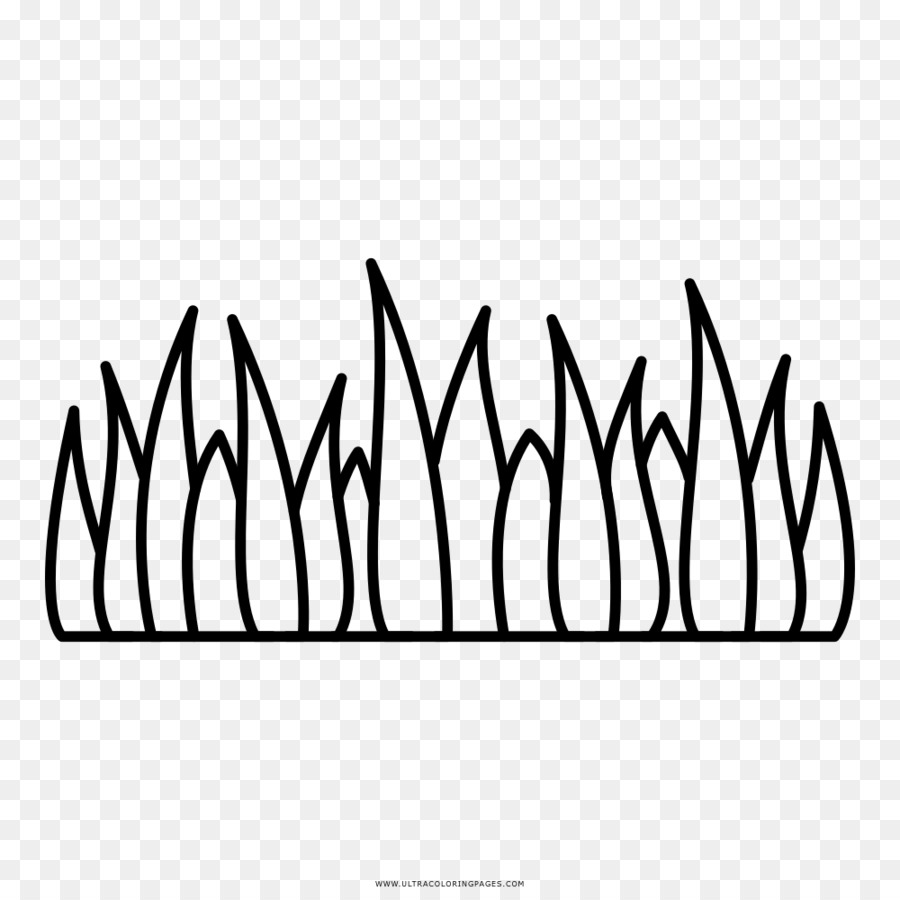Detail Gambar Mewarnai Rumput Nomer 4