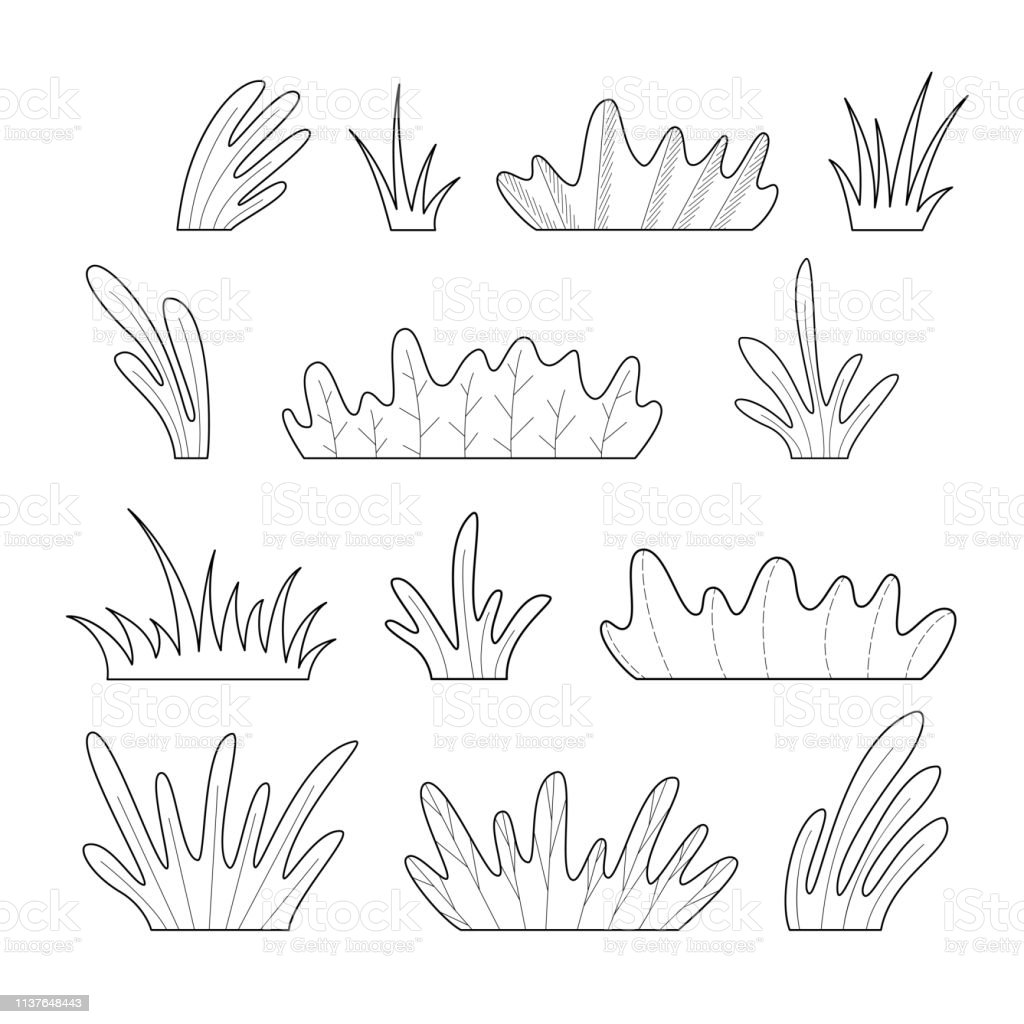 Detail Gambar Mewarnai Rumput Nomer 33