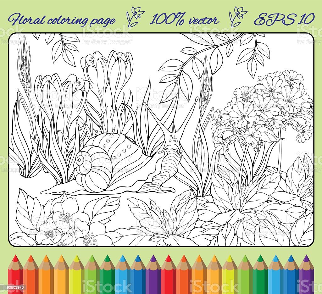 Detail Gambar Mewarnai Rumput Nomer 37