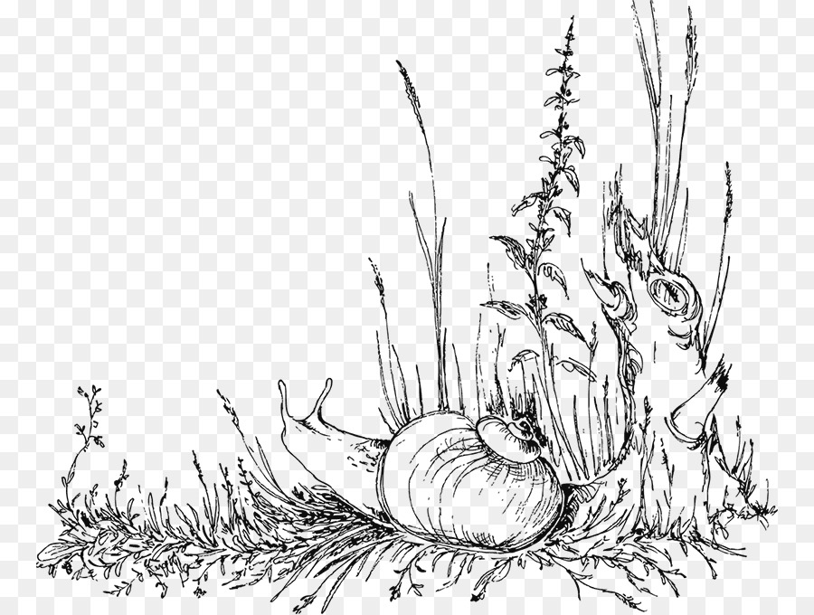 Detail Gambar Mewarnai Rumput Nomer 50