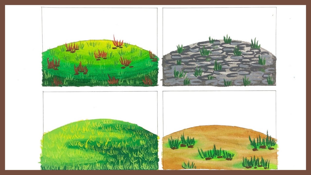 Detail Gambar Mewarnai Rumput Nomer 8