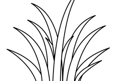Detail Gambar Mewarnai Rumput Nomer 9