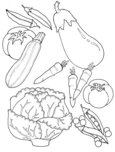 Detail Gambar Mewarnai Sayur Nomer 48