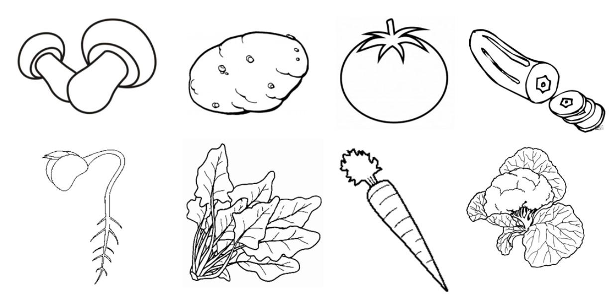 Detail Gambar Mewarnai Sayur Sayuran Nomer 44