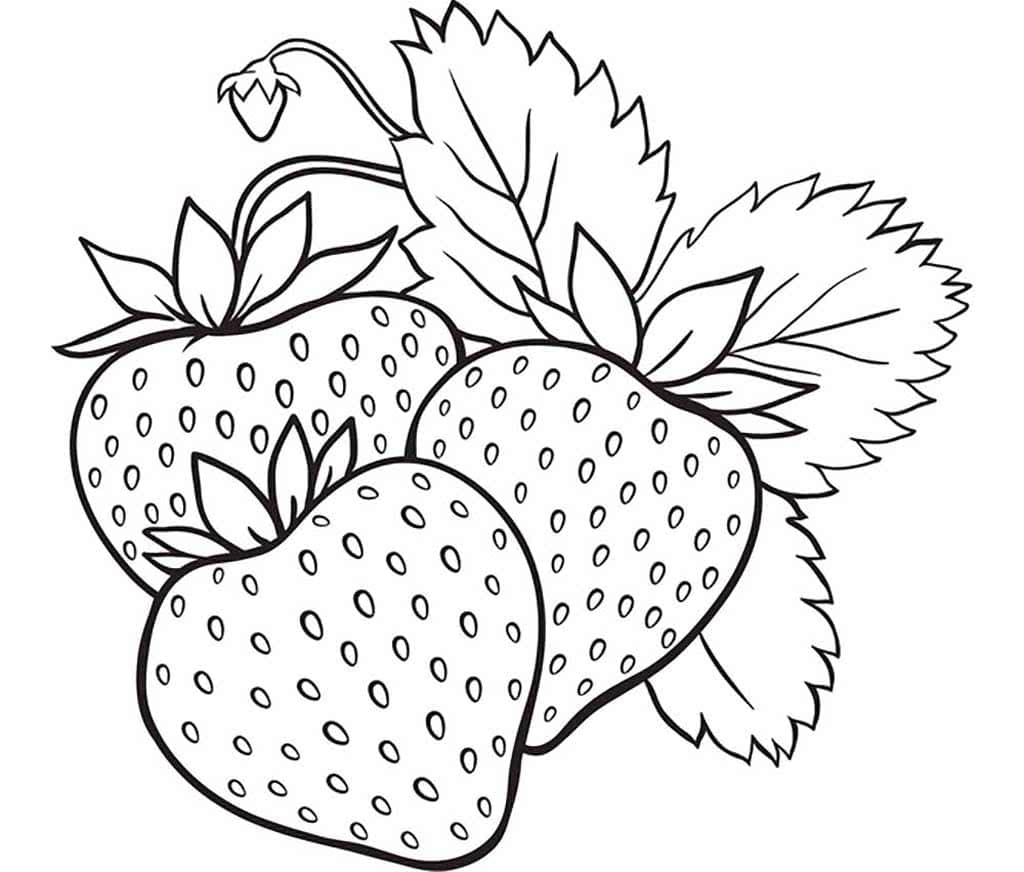 Detail Gambar Mewarnai Strawberry Nomer 14