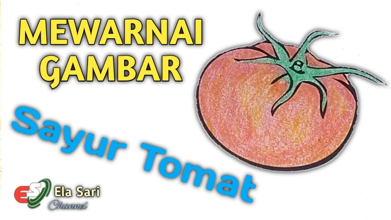 Detail Gambar Mewarnai Tomat Nomer 54