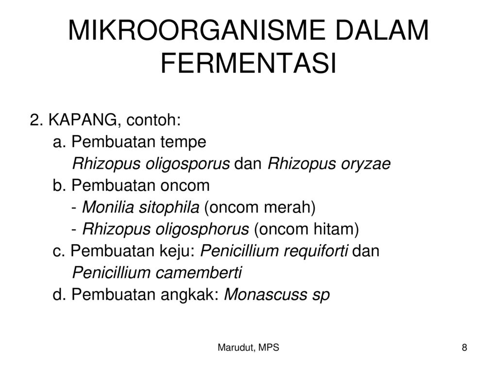 Detail Gambar Miikroorganisme Rhyzopus Nomer 43