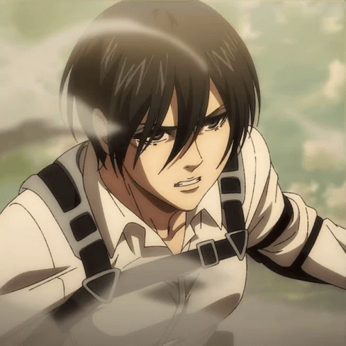Detail Gambar Mikasa Nomer 22