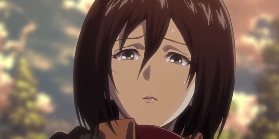 Detail Gambar Mikasa Nomer 4