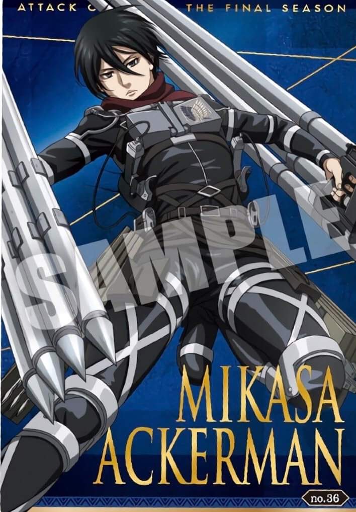Detail Gambar Mikasa Nomer 37