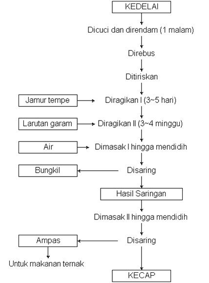 Detail Gambar Mikroorganisme Kecap Nomer 11