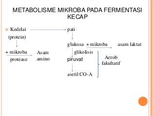 Detail Gambar Mikroorganisme Kecap Nomer 20