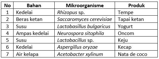 Detail Gambar Mikroorganisme Kecap Nomer 26