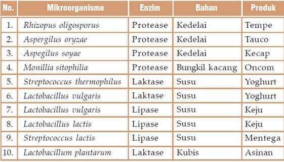 Detail Gambar Mikroorganisme Kecap Nomer 30