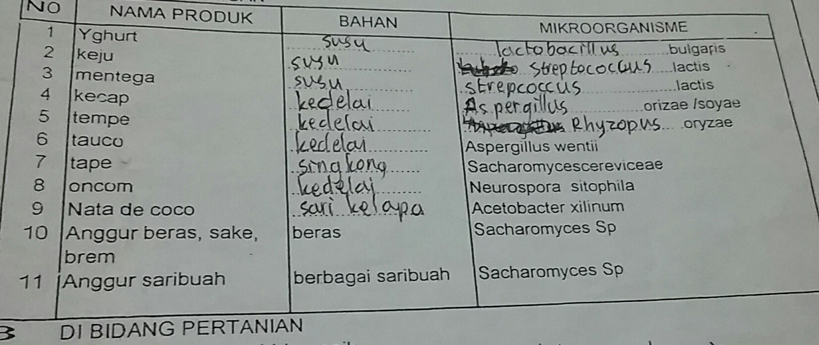 Detail Gambar Mikroorganisme Kecap Nomer 33