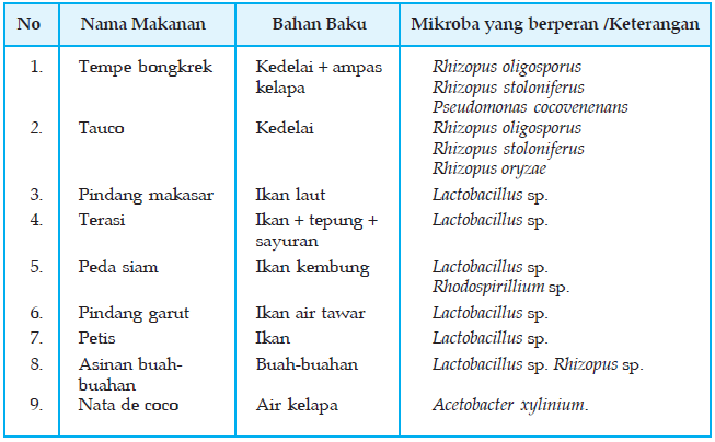 Detail Gambar Mikroorganisme Kecap Nomer 9