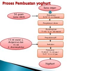 Detail Gambar Mikroorganisme Yoghurt Nomer 14