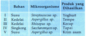 Detail Gambar Mikroorganisme Yoghurt Nomer 28