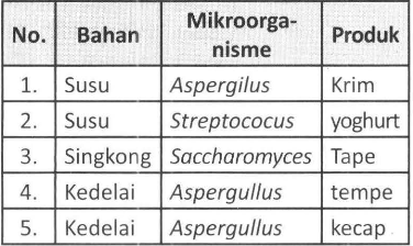 Detail Gambar Mikroorganisme Yoghurt Nomer 35