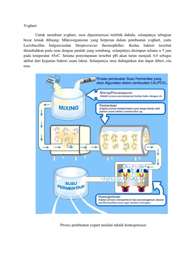 Detail Gambar Mikroorganisme Yoghurt Nomer 49